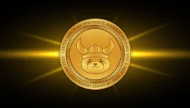 Floki Coin